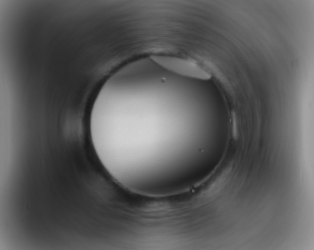 X0000091470252200709241310