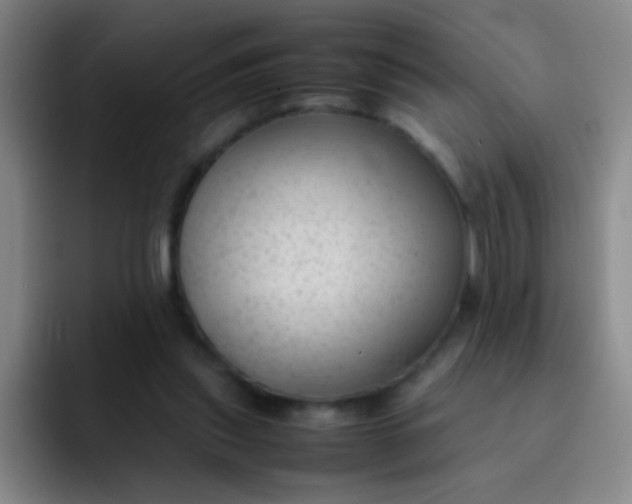 X0000091470253200709241310