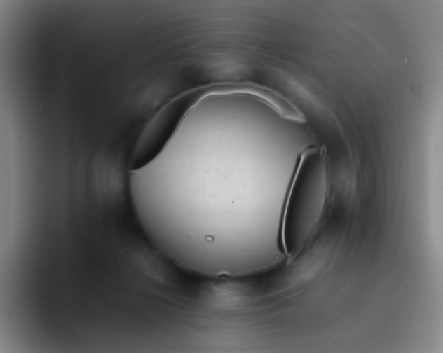 X0000091470268200709241311