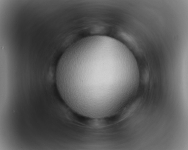 X0000091470273200709241311