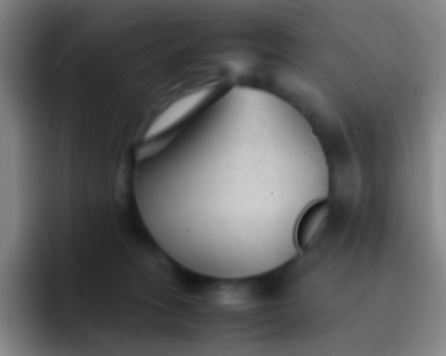 X0000091470275200709241311