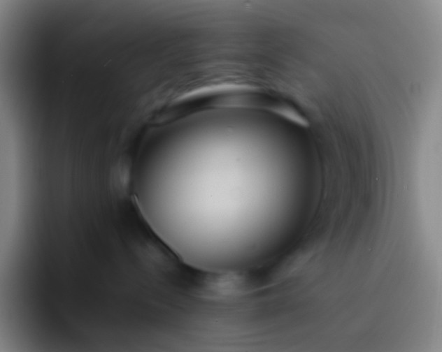 X0000091470288200709241311