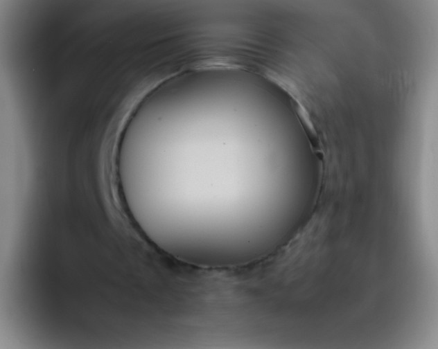 X0000091470289200709241310