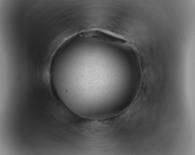 X0000091470290200709241310