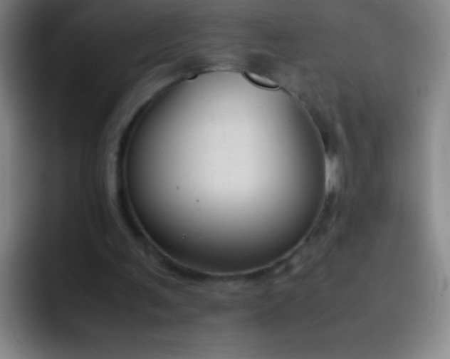 X0000091470291200709241310