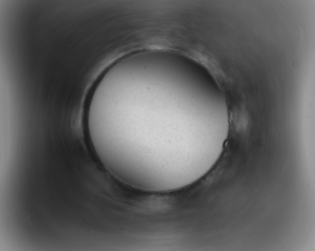 X0000091470292200709241310