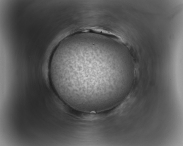 X0000091470293200709241310