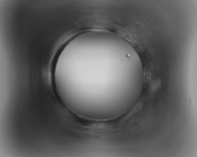 X0000091470294200709241310