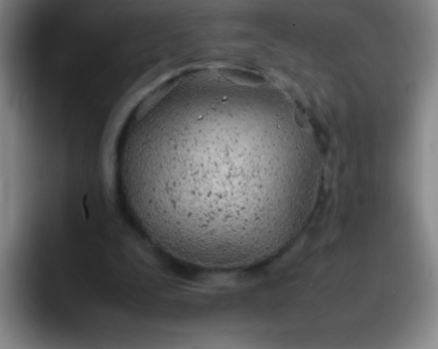 X0000091470295200709241310