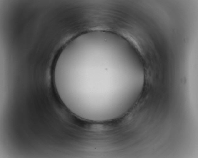 X0000091470298200709241310