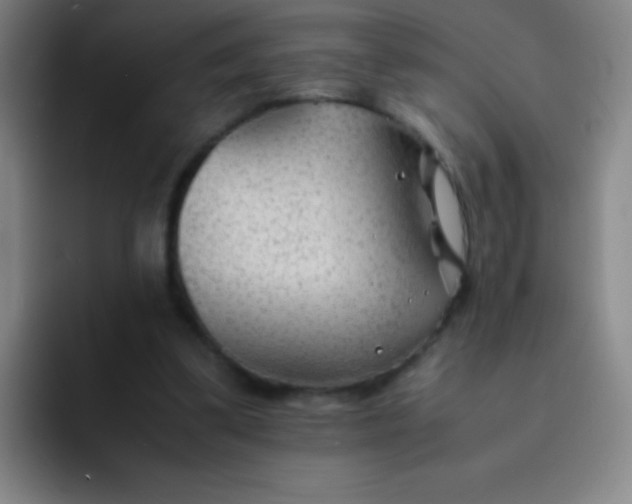 X0000091470299200709241310