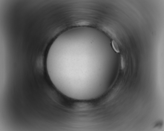 X0000091470300200709241310