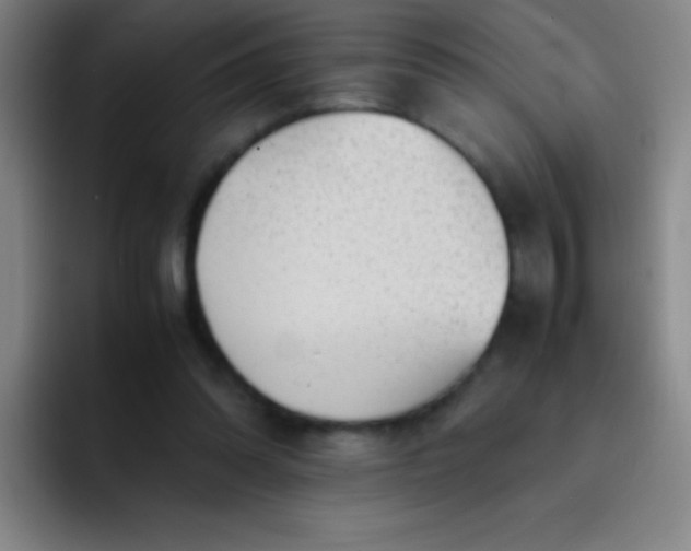 X0000091470302200709241310