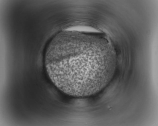 X0000091470303200709241310