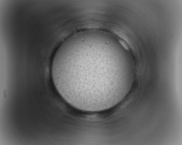 X0000091470309200709241310