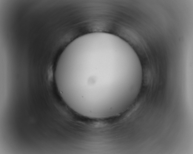 X0000091470310200709241310