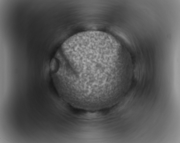 X0000091470314200709241310