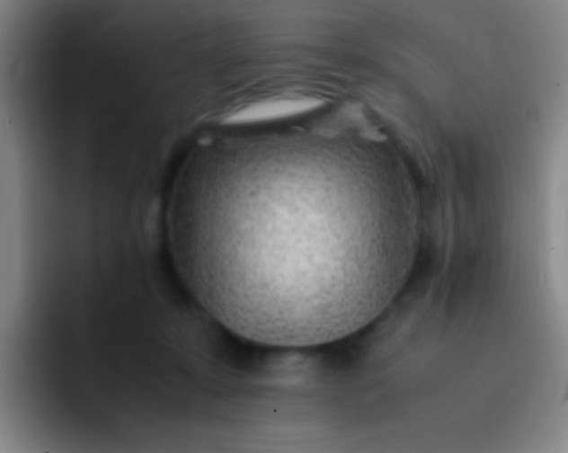 X0000091470319200709241310