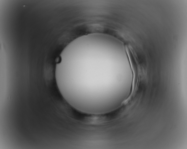 X0000091470323200709241310