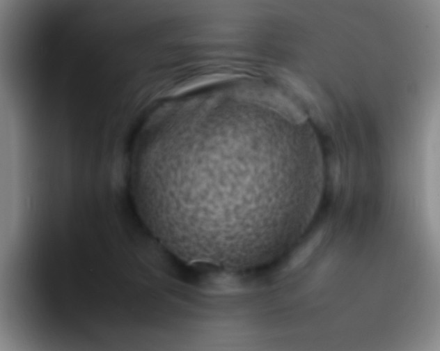 X0000091470325200709241310