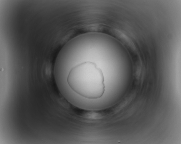 X0000091470326200709241310