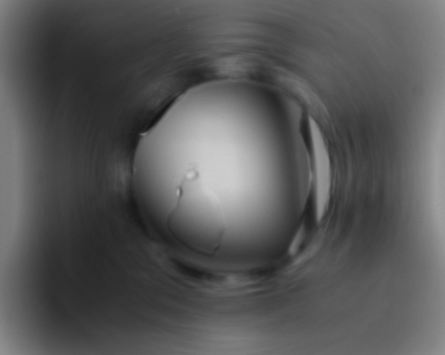 X0000091470329200709241310