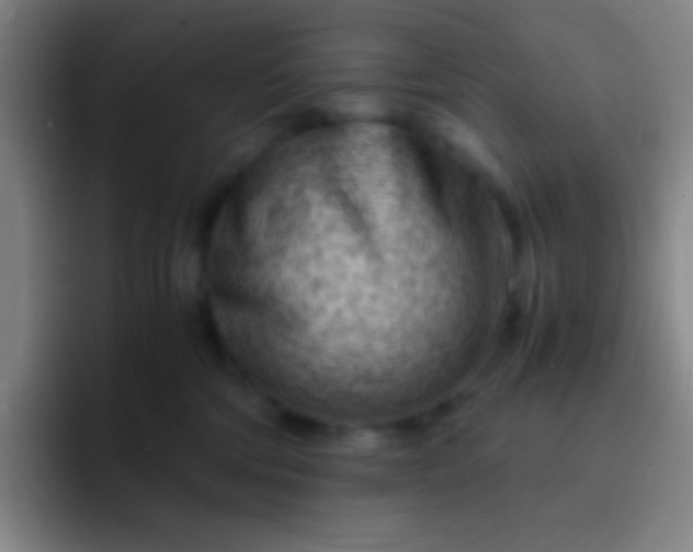 X0000091470330200709241310