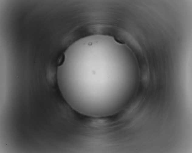 X0000091470332200709241310