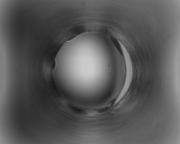 X0000091470333200709241310