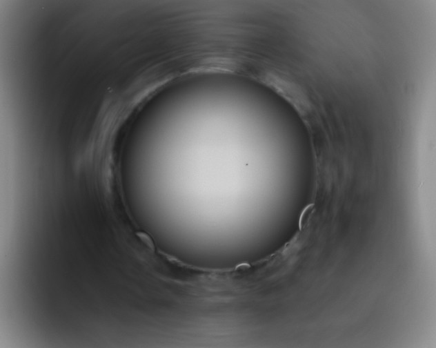 X0000091470338200709241309