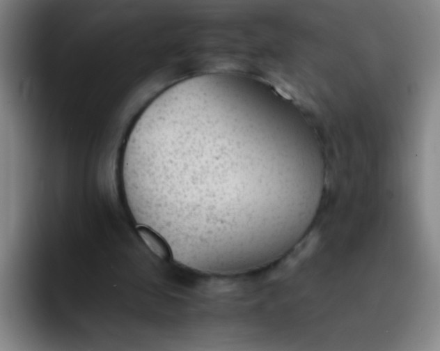 X0000091470341200709241309