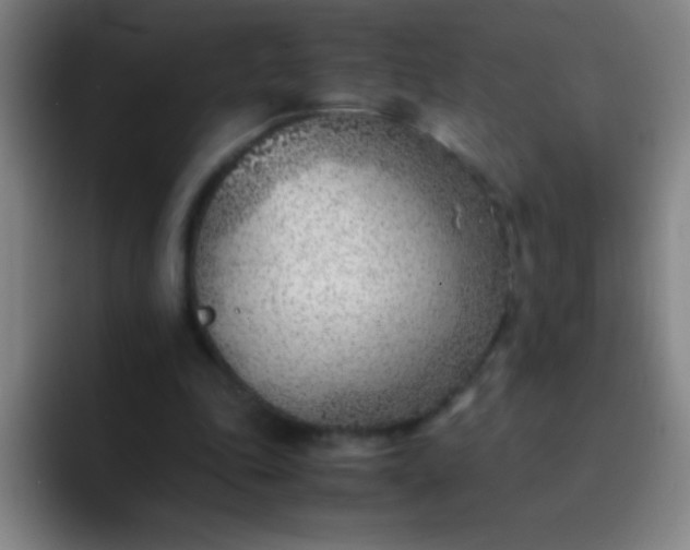 X0000091470343200709241309