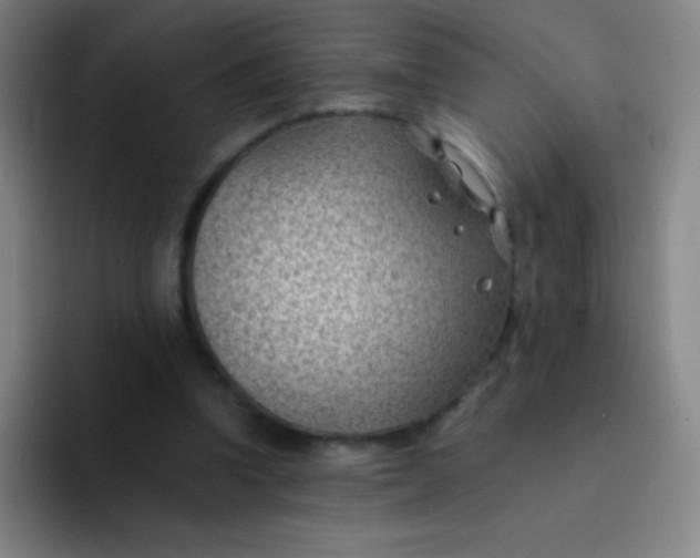 X0000091470346200709241309