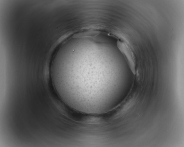 X0000091470348200709241309