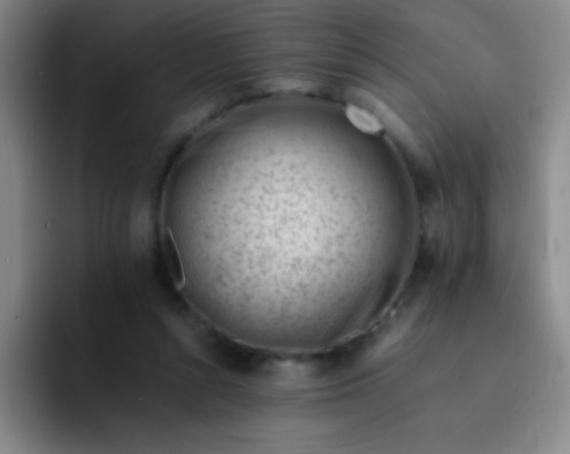 X0000091470352200709241309