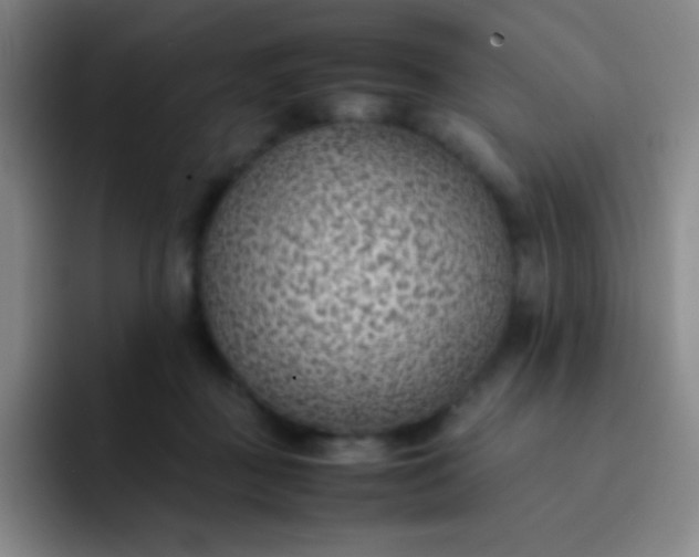 X0000091470363200709241310