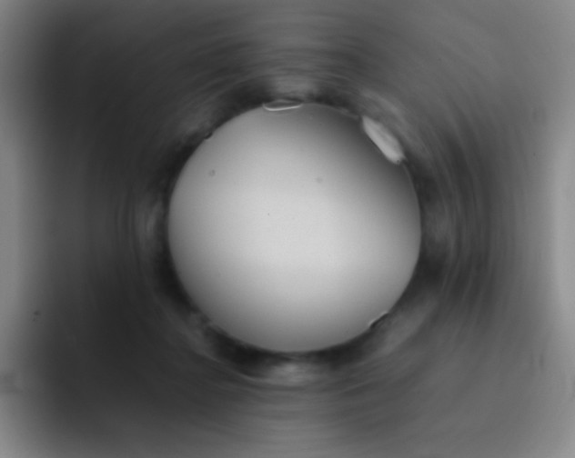 X0000091470364200709241310