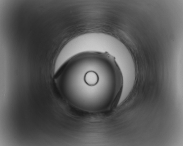 X0000091470368200709241310