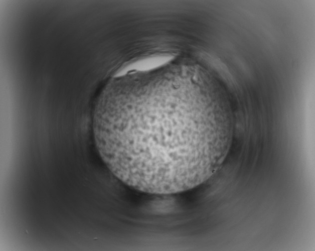 X0000091470369200709241310