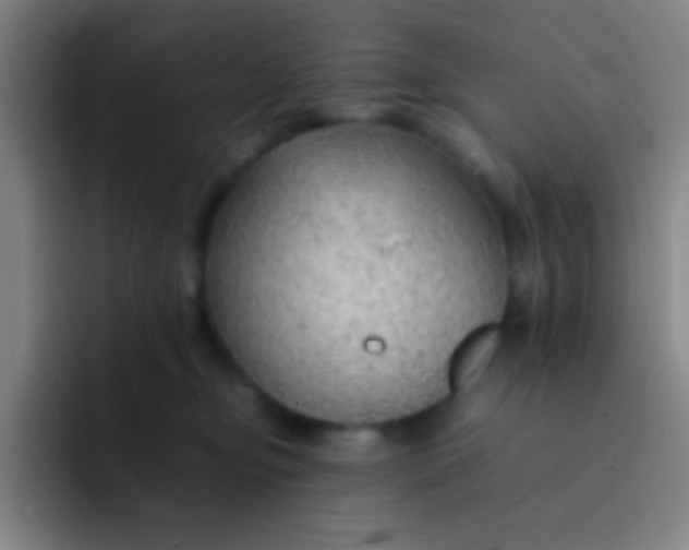 X0000091470374200709241310