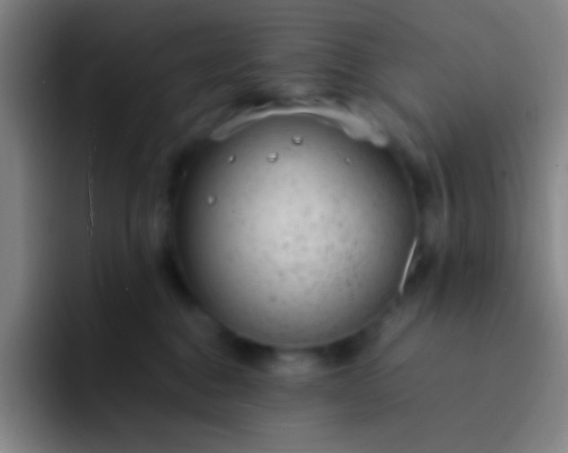 X0000091470376200709241310