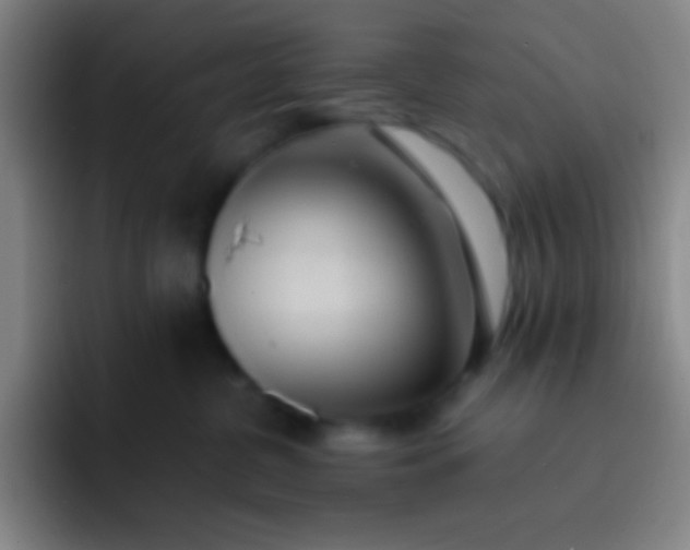 X0000091470380200709241310