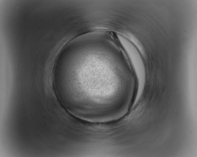 X0000091470385200709241309