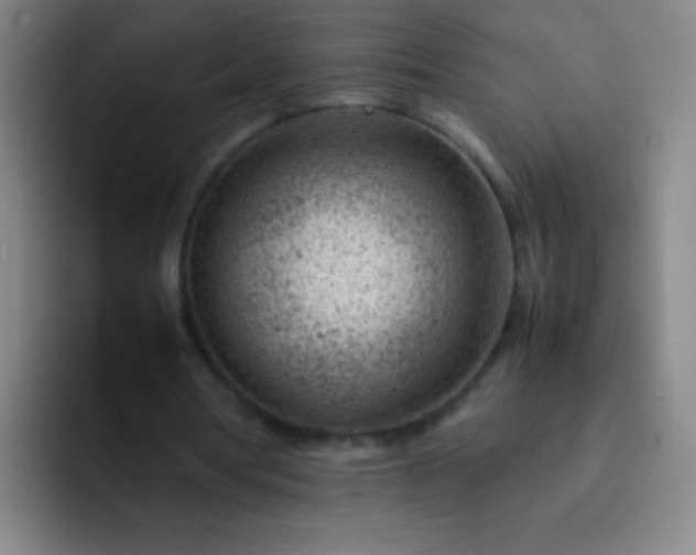 X0000091470386200709241309