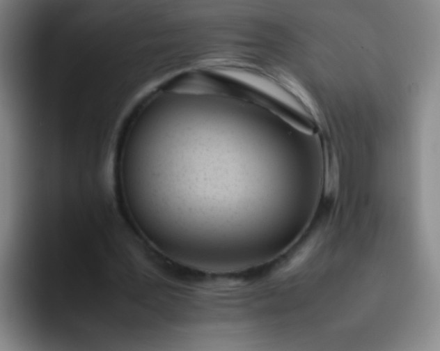 X0000091470387200709241309