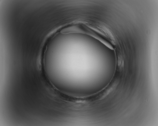 X0000091470388200709241309