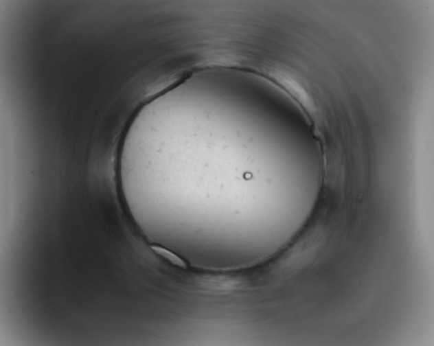 X0000091470389200709241309