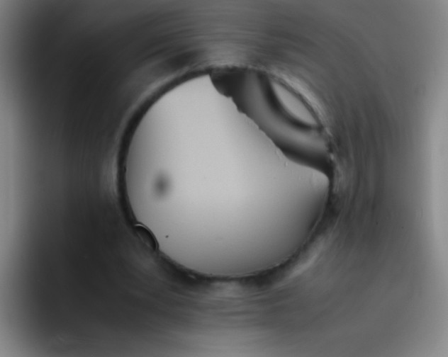 X0000091470391200709241309