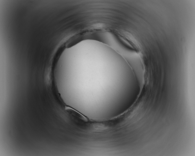 X0000091470392200709241309