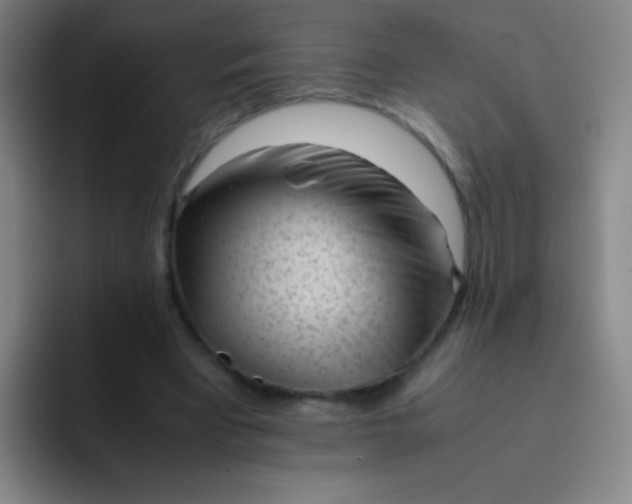 X0000091470393200709241309